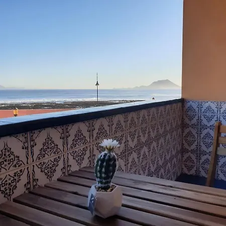 Digital Nomad Pool&lobos Views
